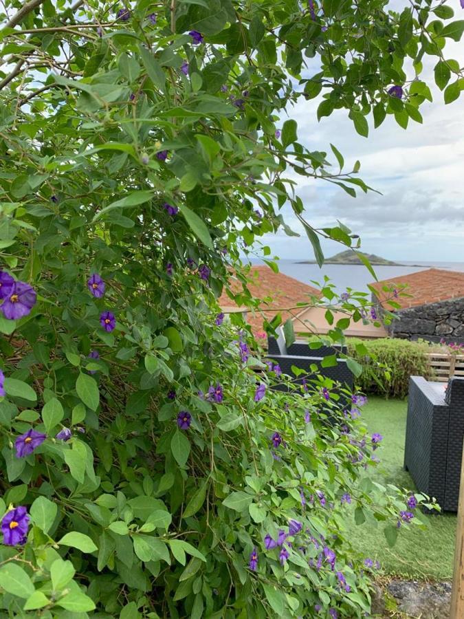 Villa Portas Do Ilheu Praia da Graciosa Exterior foto